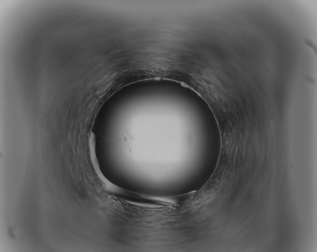 X0000096471057200801311529