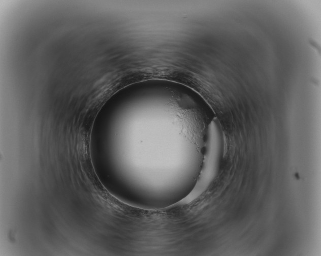 X0000096471058200801311529