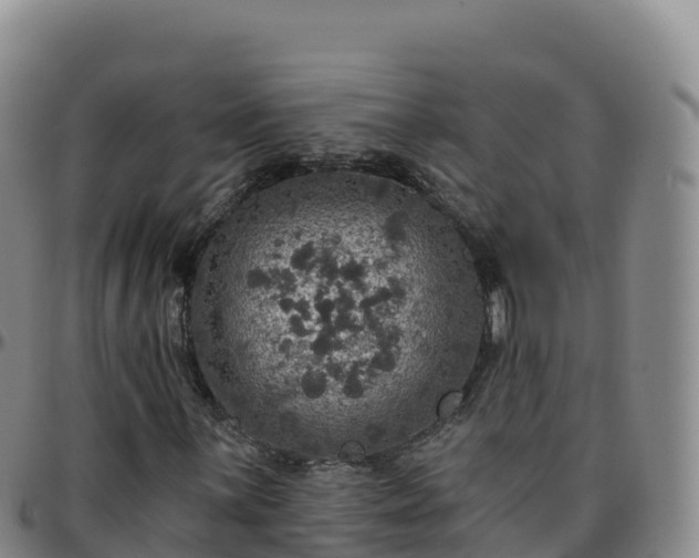 X0000096471059200801311529