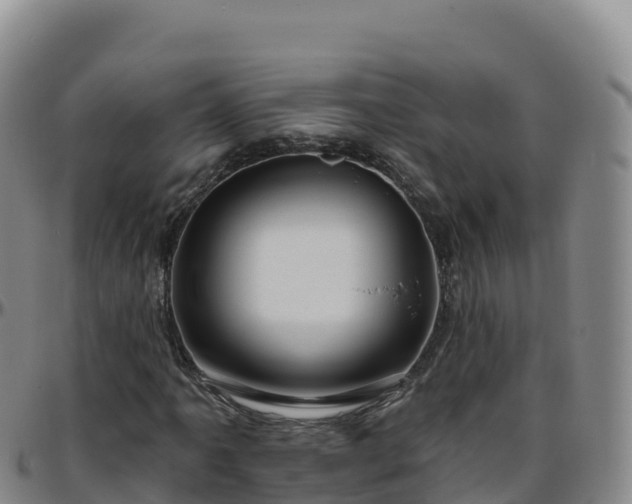 X0000096471061200801311529