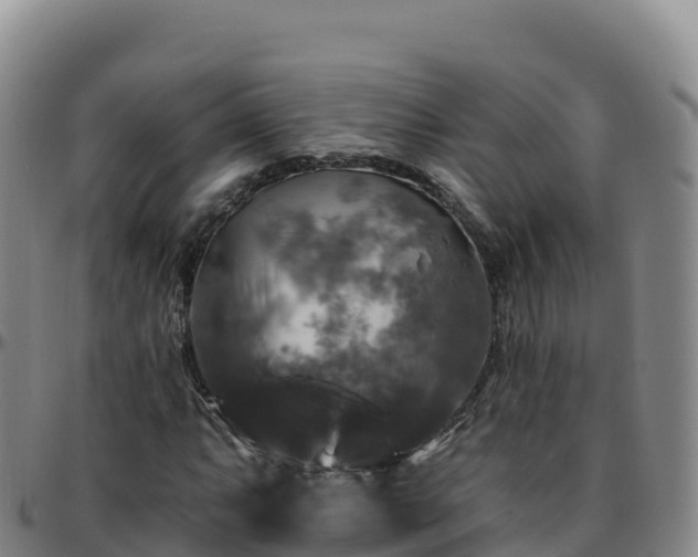 X0000096471063200801311529