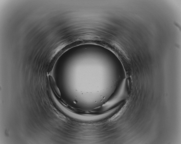 X0000096471065200801311529