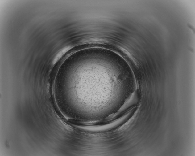 X0000096471066200801311529