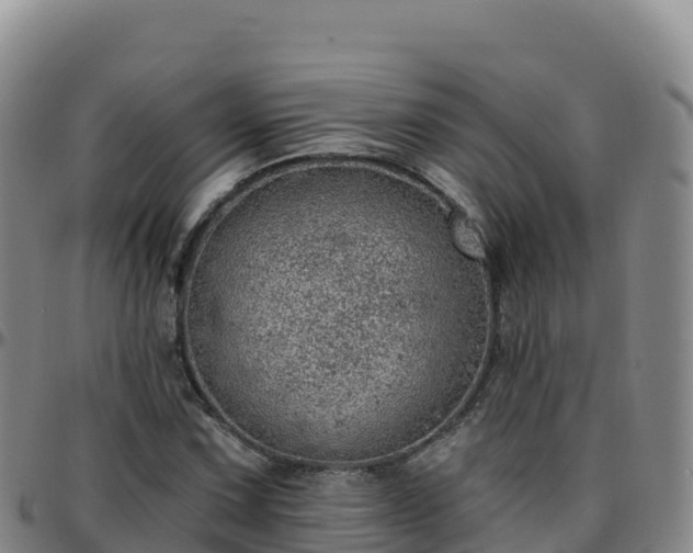 X0000096471067200801311529