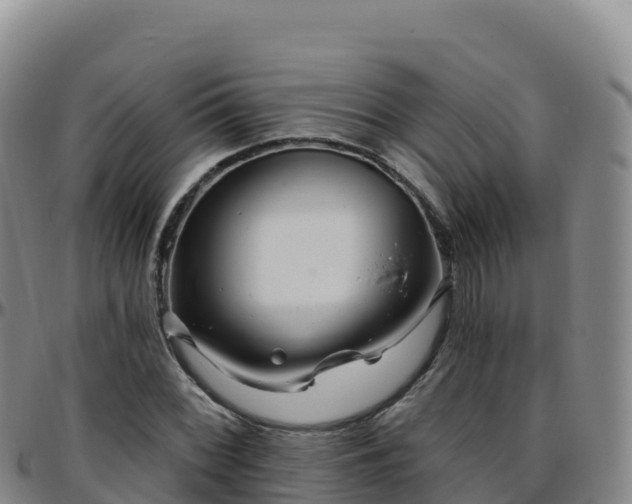 X0000096471068200801311529