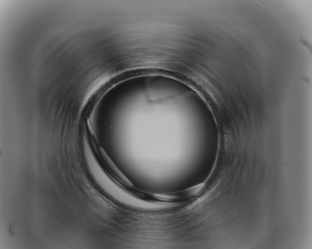 X0000096471069200801311529