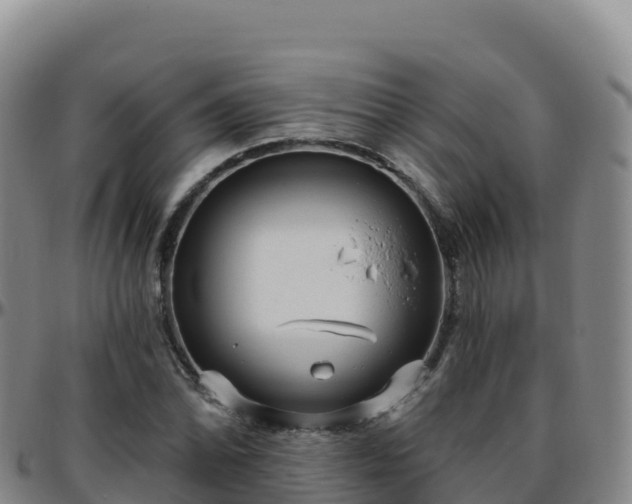 X0000096471070200801311529