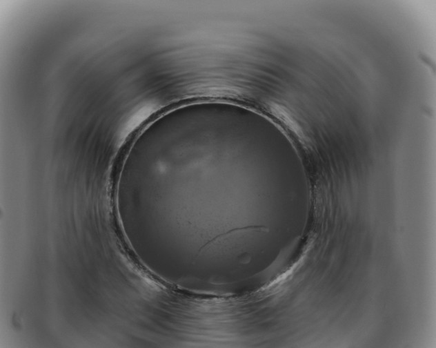 X0000096471071200801311529