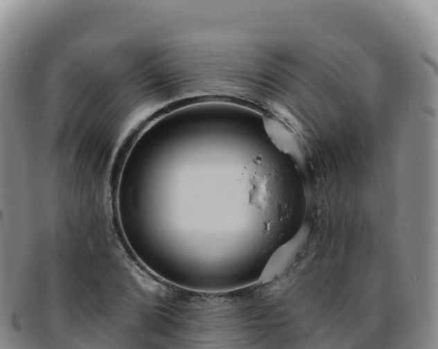 X0000096471072200801311529