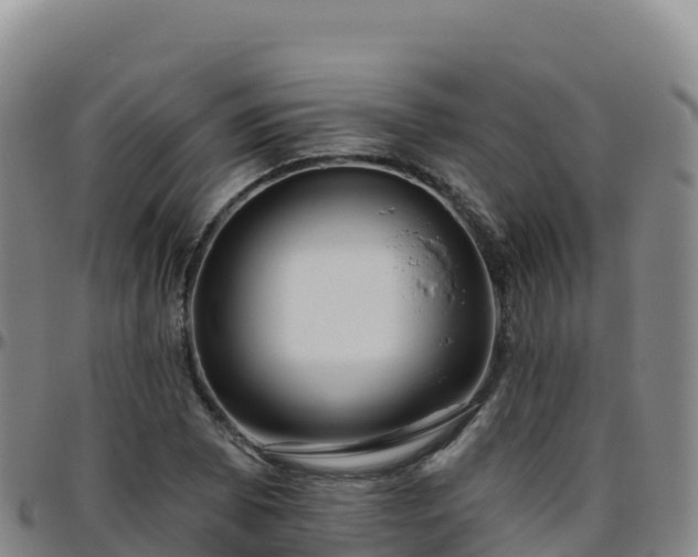 X0000096471073200801311529