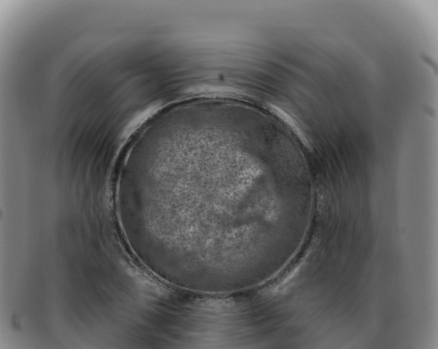 X0000096471074200801311529