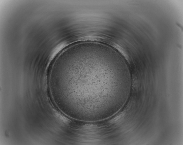 X0000096471075200801311529
