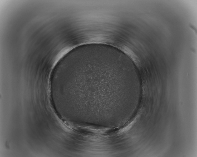 X0000096471077200801311529