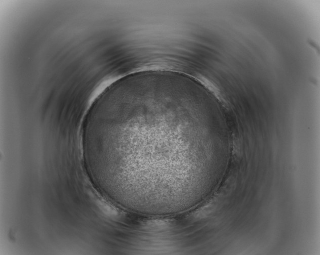 X0000096471078200801311529
