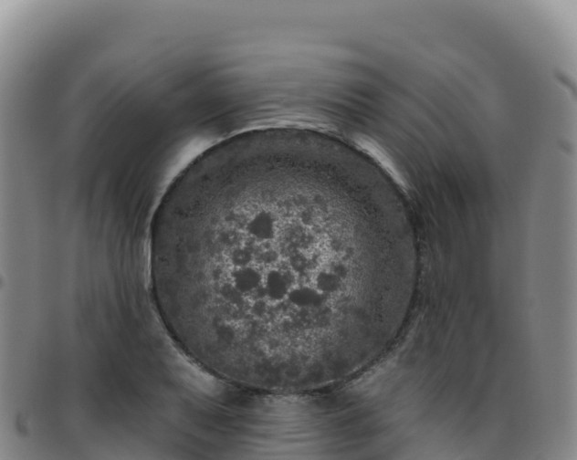 X0000096471079200801311529