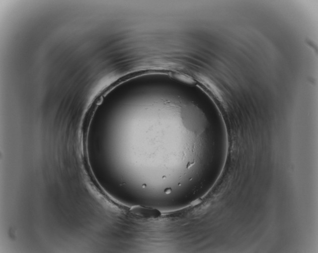 X0000096471080200801311529