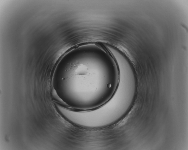 X0000096471081200801311529