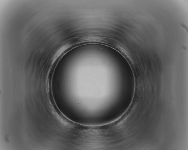 X0000096471082200801311529