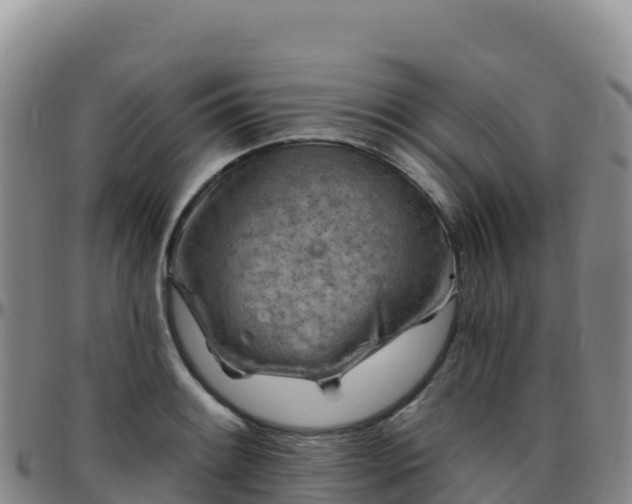 X0000096471084200801311529