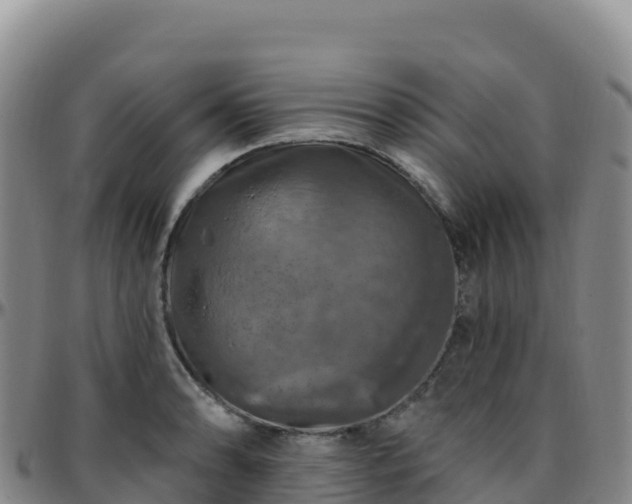 X0000096471086200801311529