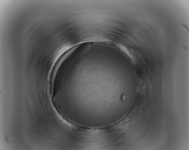 X0000096471087200801311529