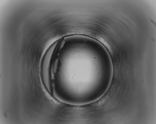 X0000096471088200801311529