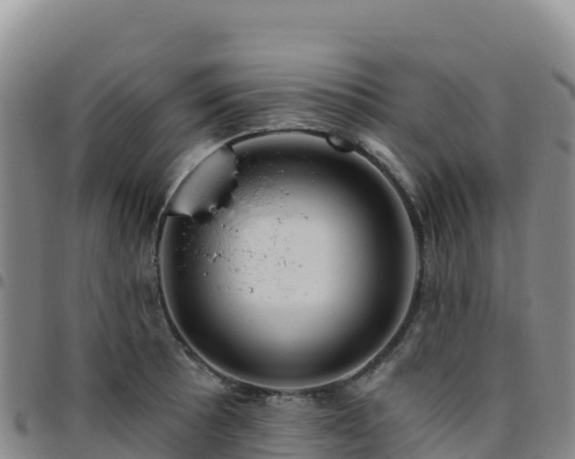 X0000096471089200801311529