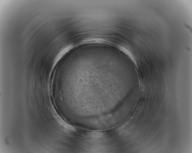 X0000096471090200801311529