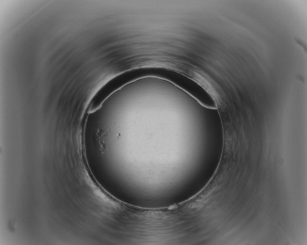 X0000096471092200801311529