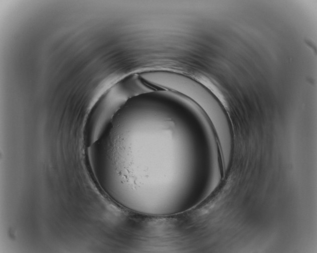 X0000096471093200801311529