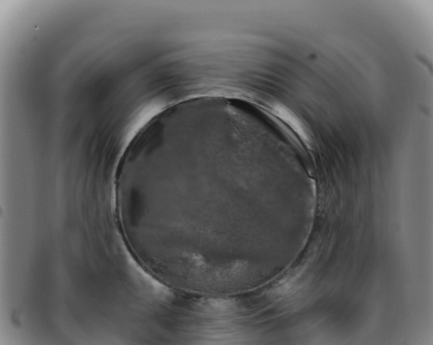 X0000096471095200801311529