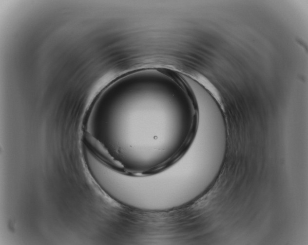 X0000096471096200801311529