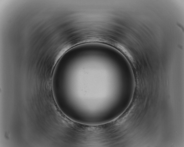 X0000096471097200801311529