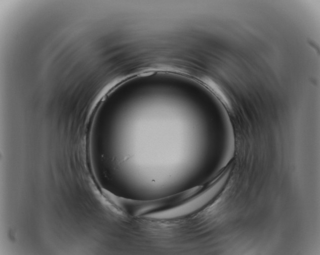 X0000096471100200801311529