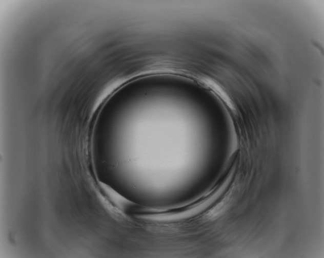 X0000096471101200801311529
