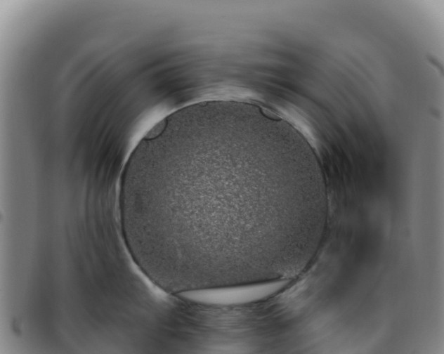 X0000096471103200801311529