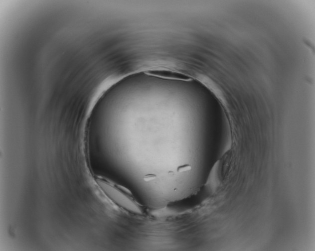 X0000096471104200801311529