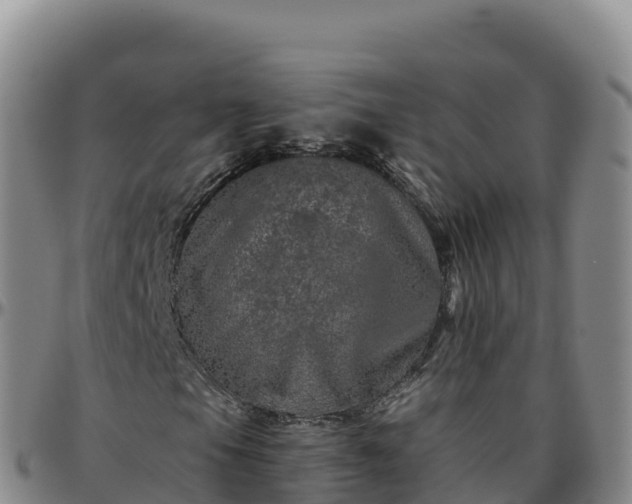 X0000096471105200801311528