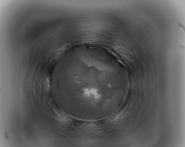 X0000096471106200801311528