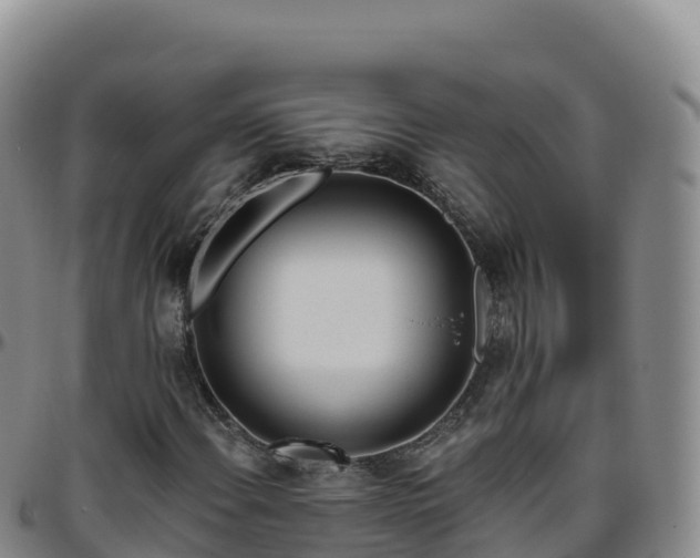 X0000096471108200801311528