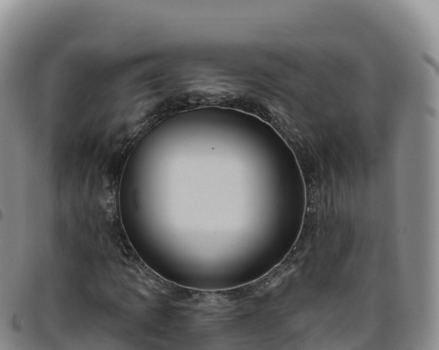 X0000096471109200801311528
