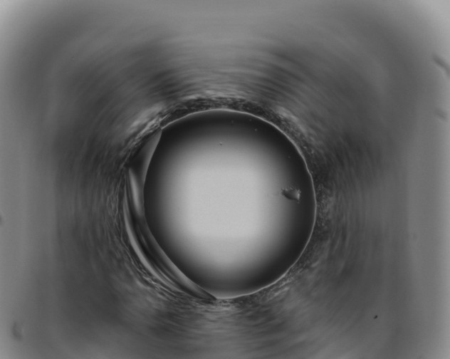 X0000096471110200801311528