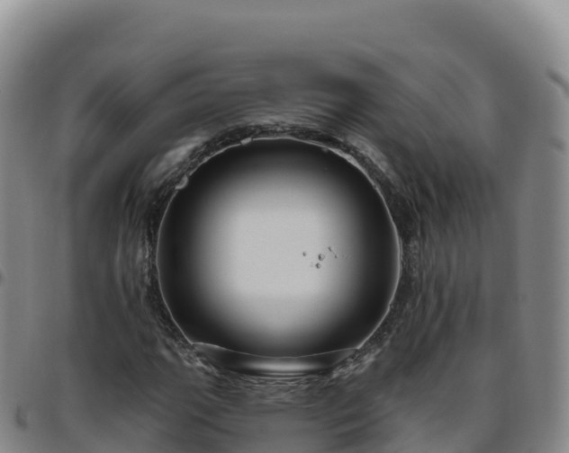 X0000096471111200801311528