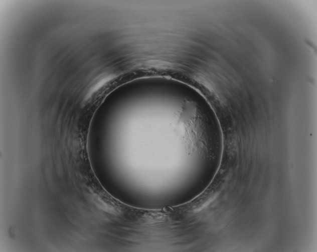 X0000096471112200801311528