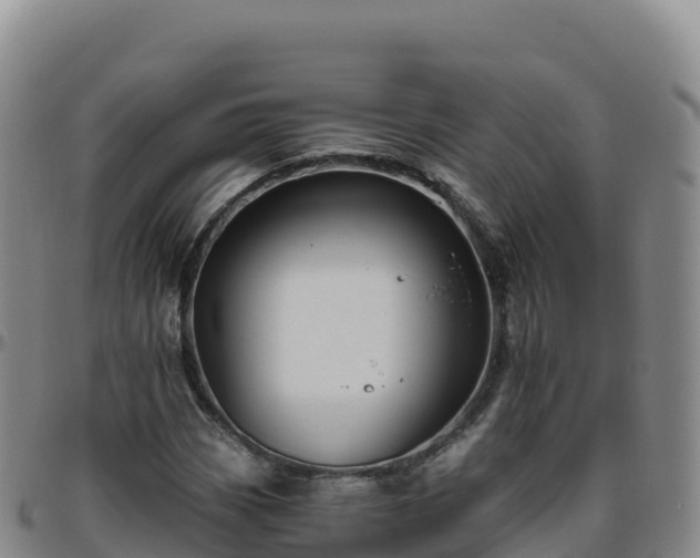 X0000096471113200801311528
