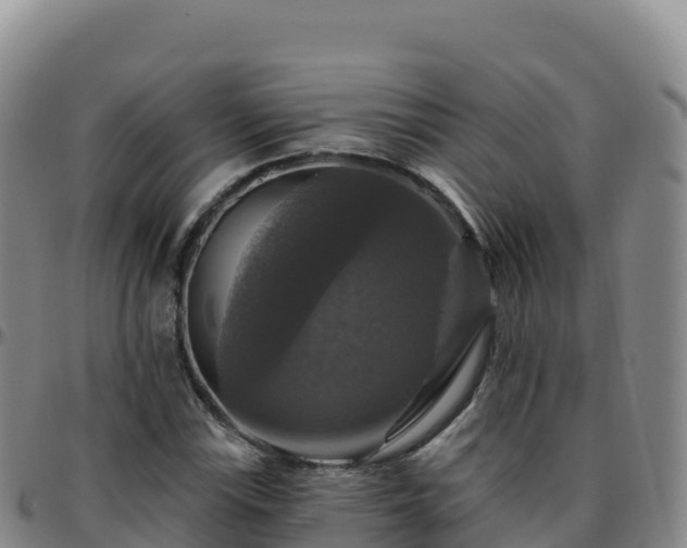 X0000096471115200801311528