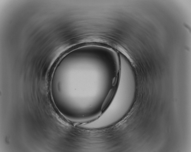 X0000096471116200801311528