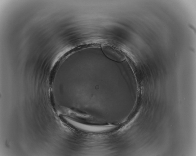 X0000096471117200801311528