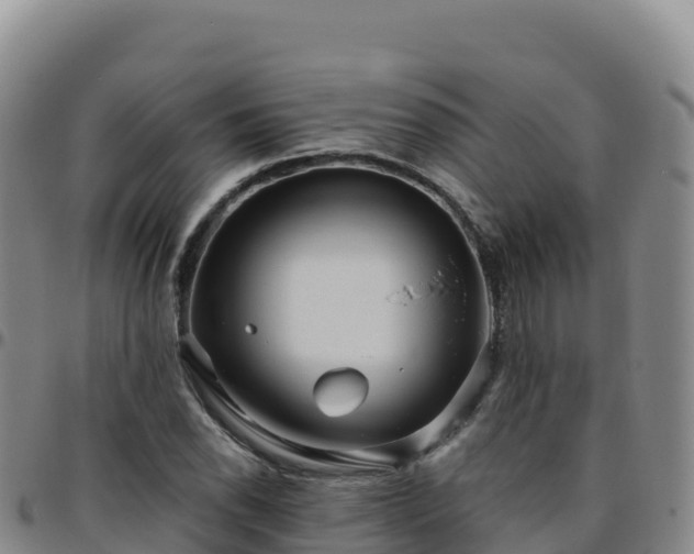X0000096471118200801311528