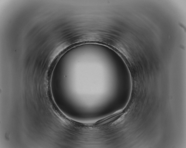 X0000096471119200801311528